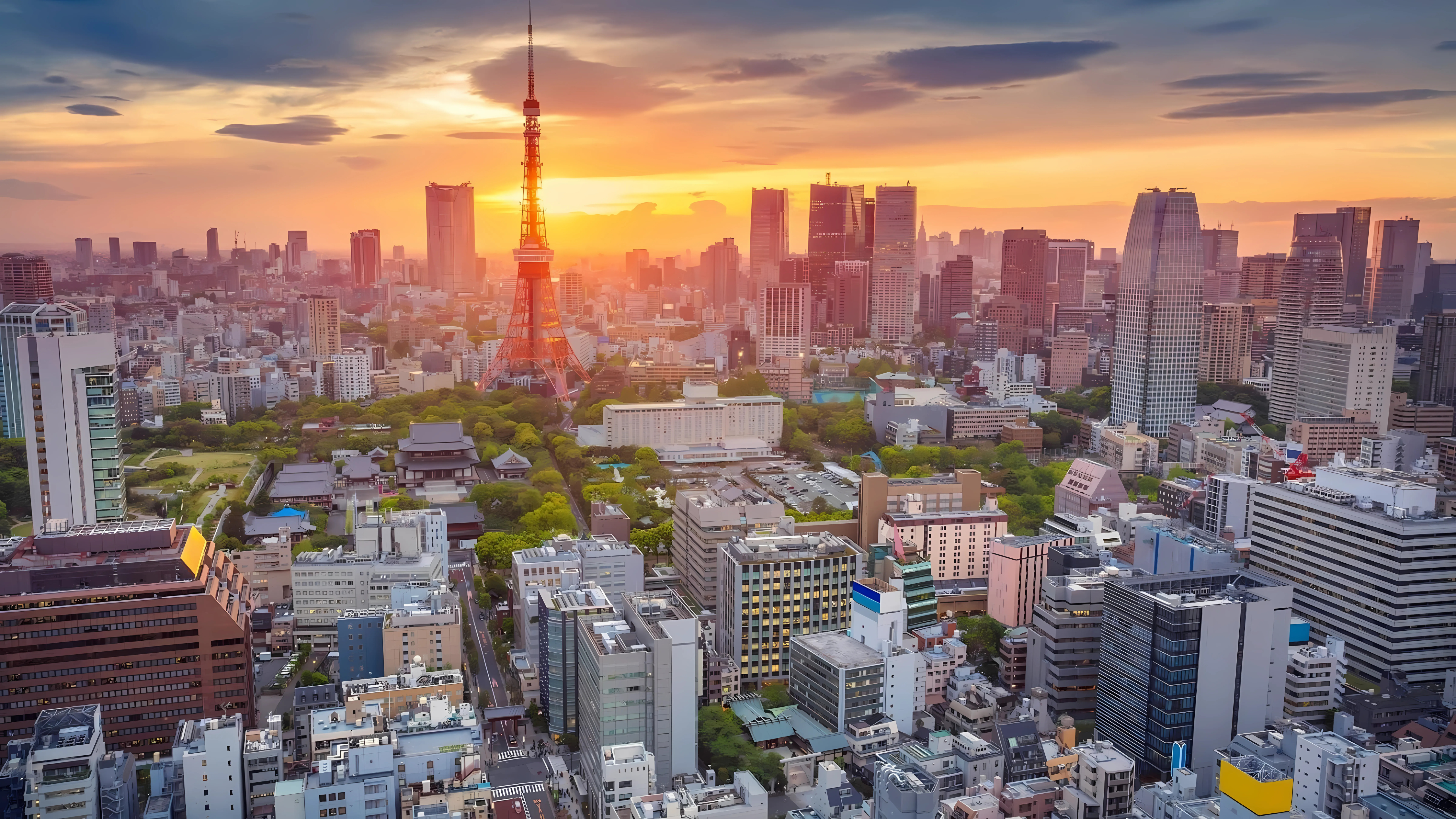 Japan Education